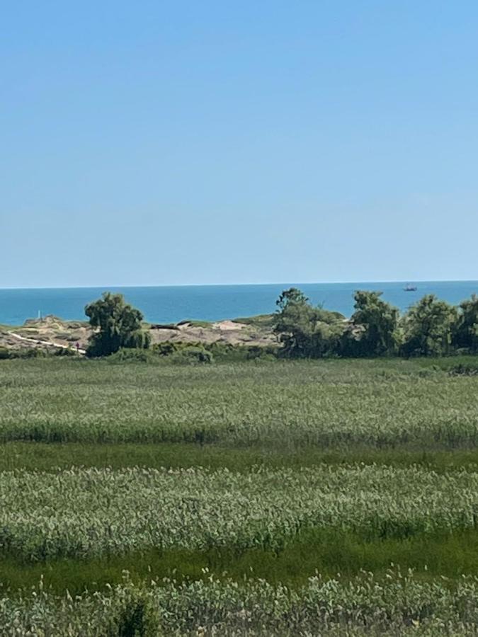 Pearl Sunshine Appartments Primorsko Luaran gambar
